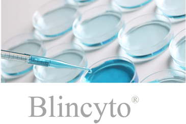 6_Produkte_Blincyto